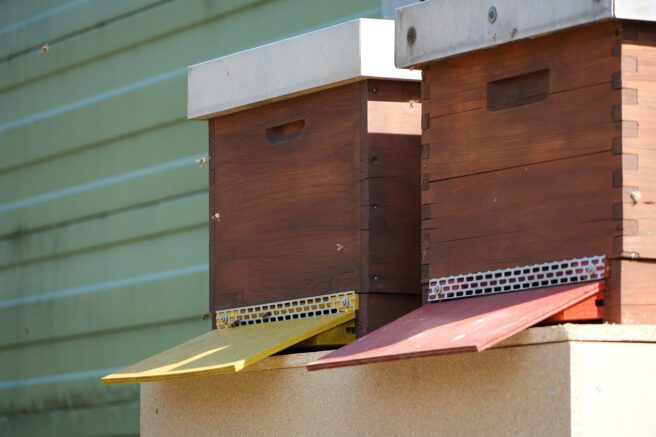 Bienenstock hinter dem Logistikzentrum. Einflugschneise. Nahaufnahme. Frontal.