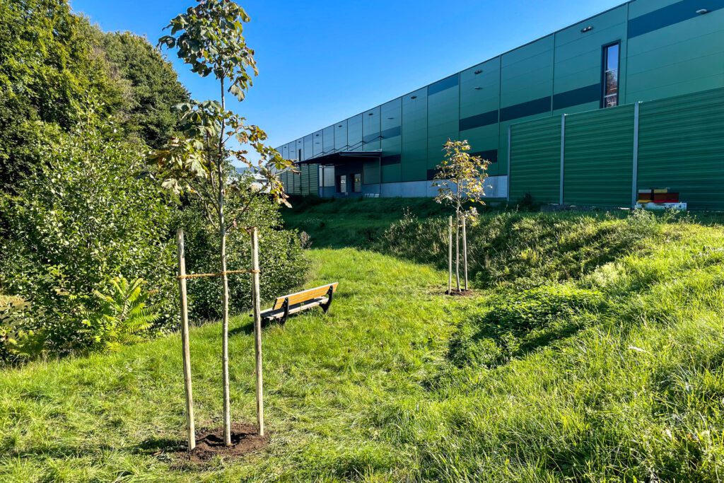 Kastanienbäume, Baumpflanz-Challenge, REINHOLD KELLER Group